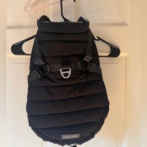 Canada Pooch Black Harness Puffer for Dogs